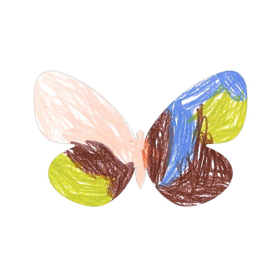 Original Butterfly Image