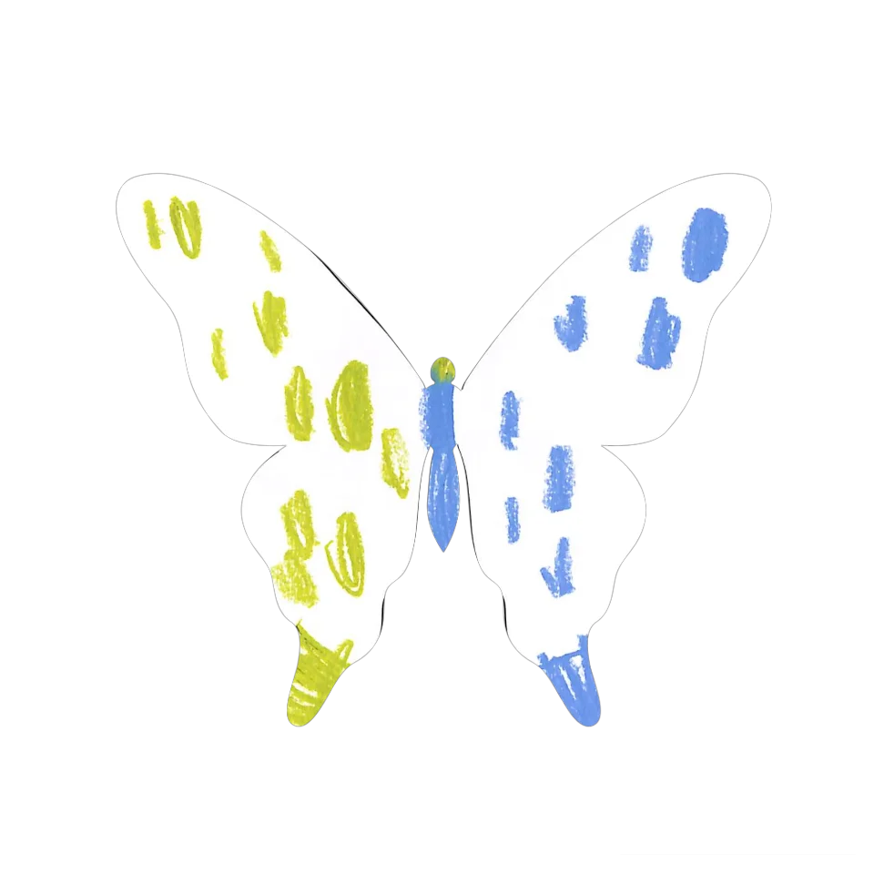 Original Butterfly Image