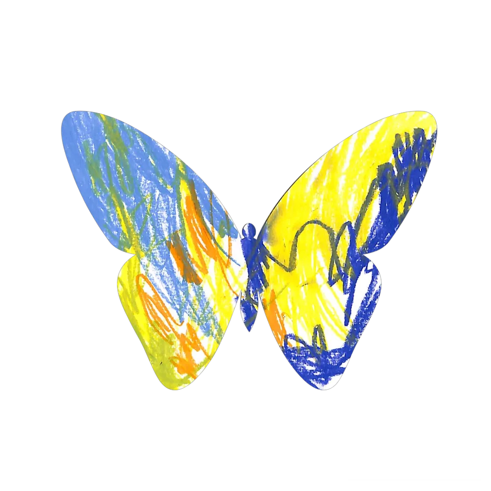 Original Butterfly Image