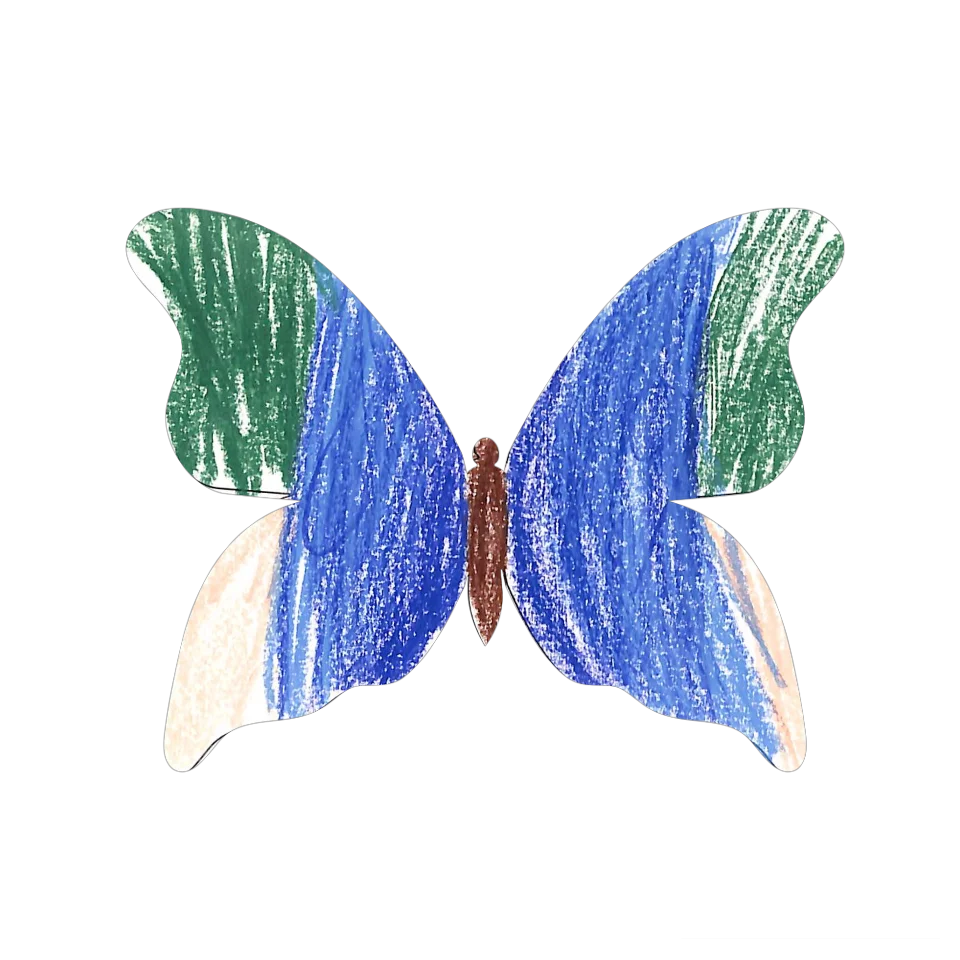 Original Butterfly Image