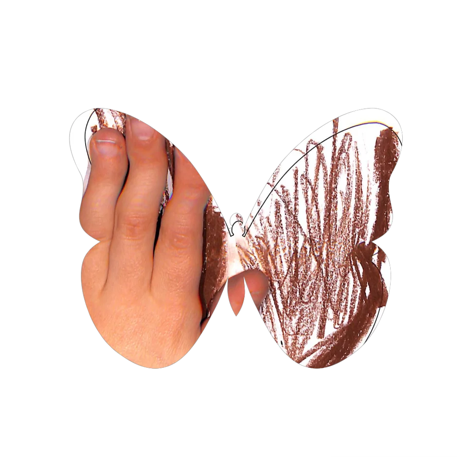 Original Butterfly Image