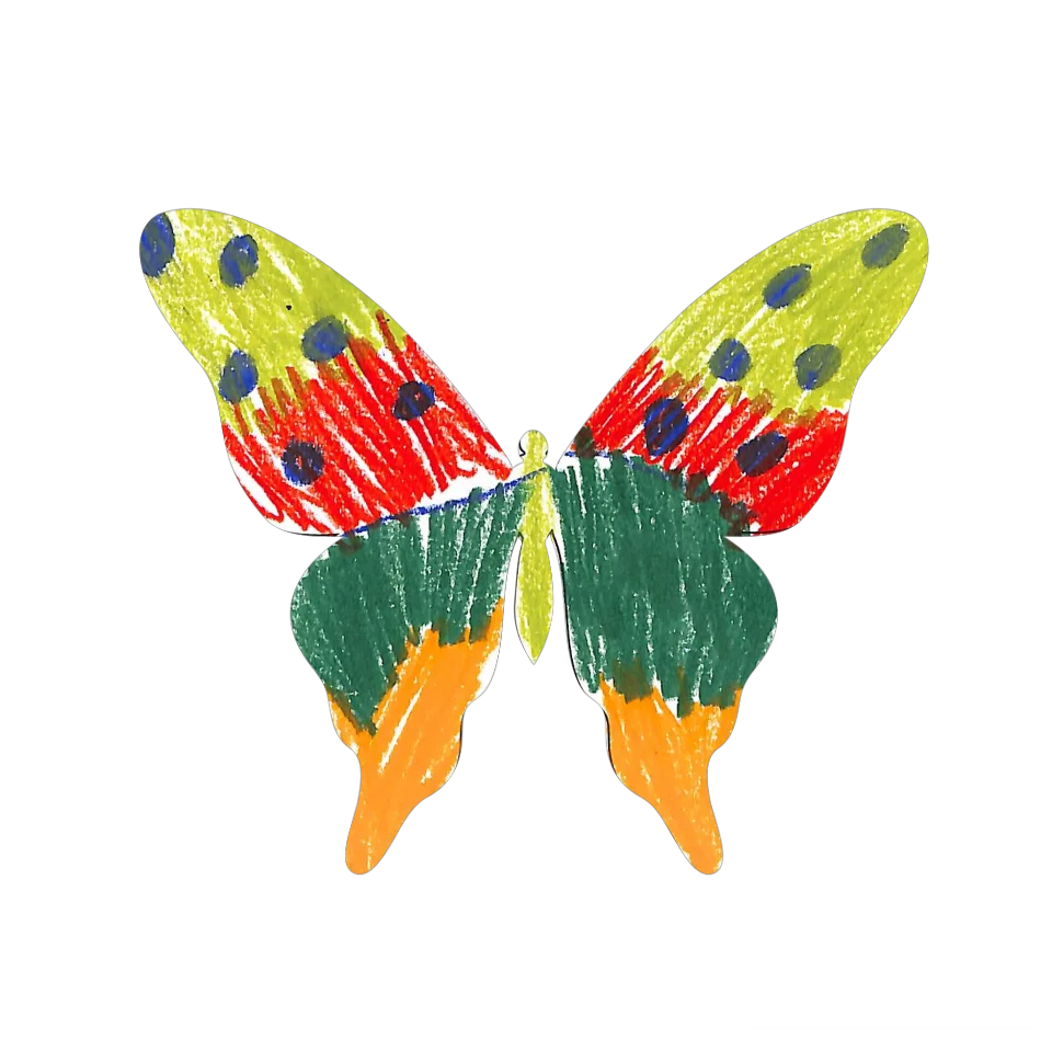 Original Butterfly Image