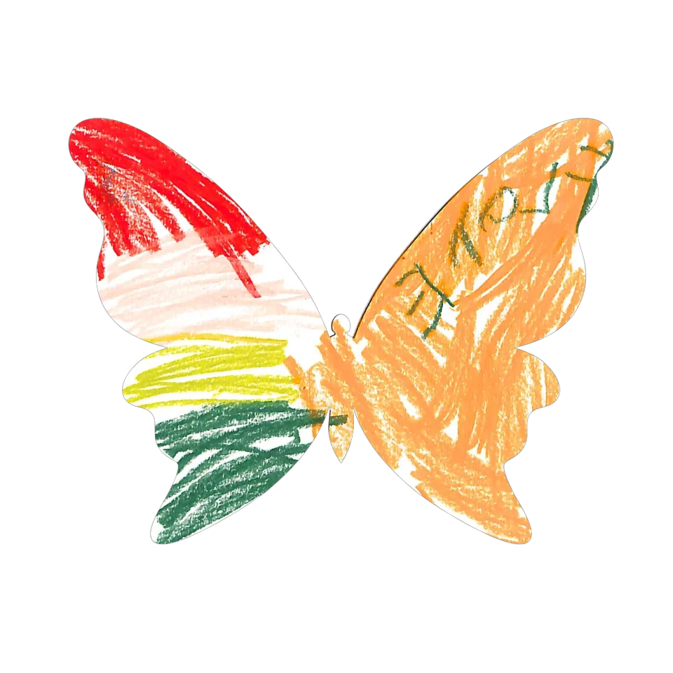 Original Butterfly Image
