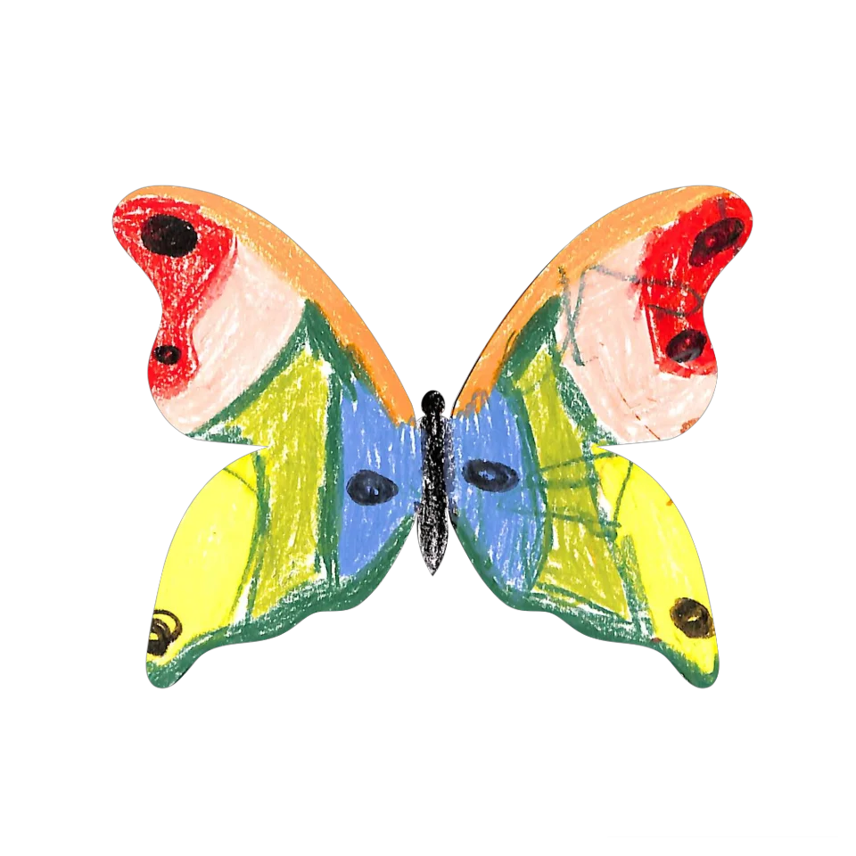 Original Butterfly Image