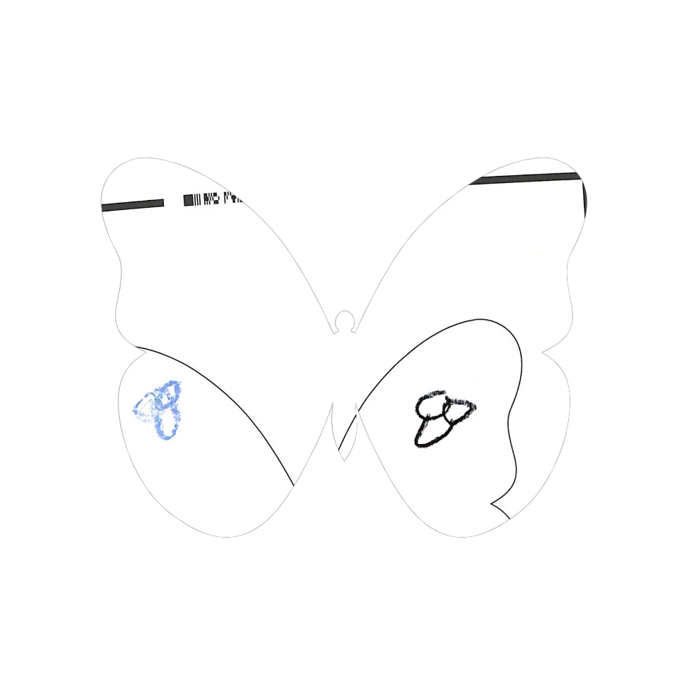 Original Butterfly Image