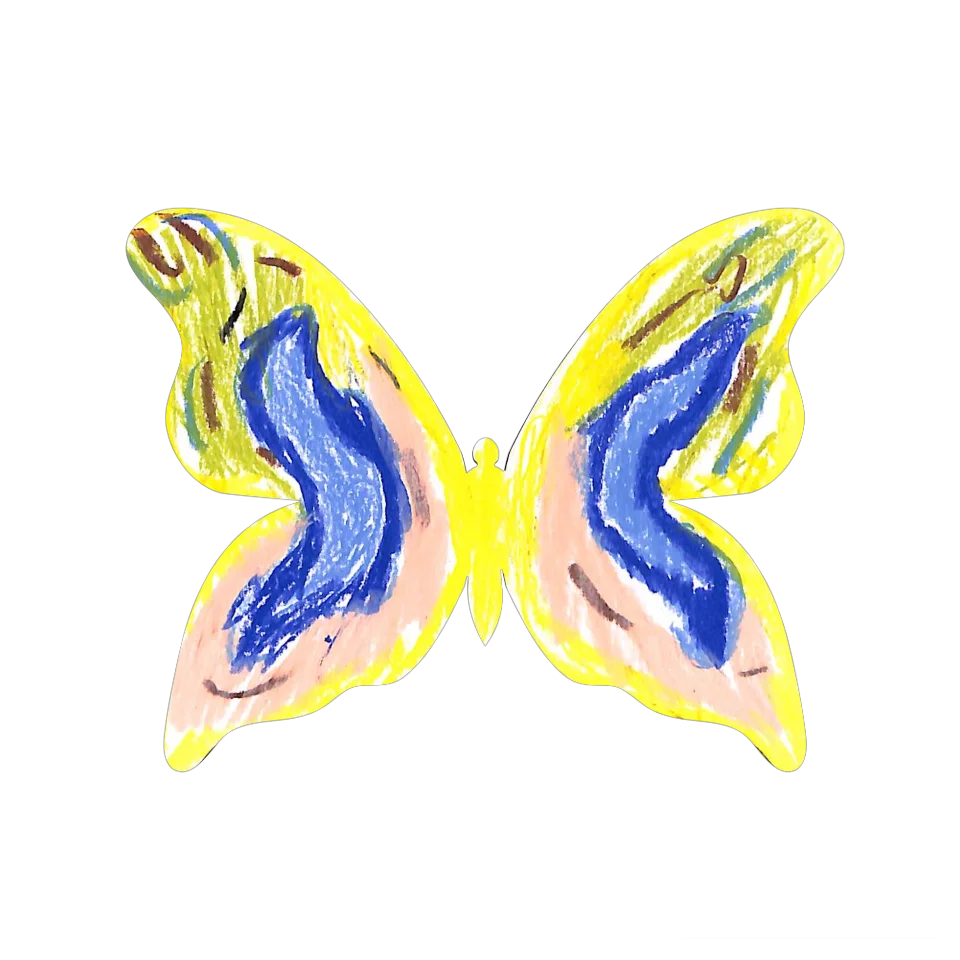 Original Butterfly Image