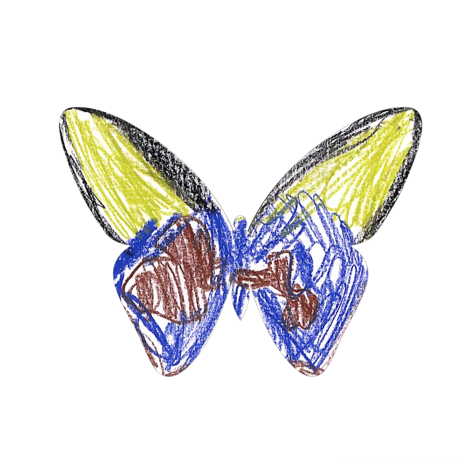 Original Butterfly Image