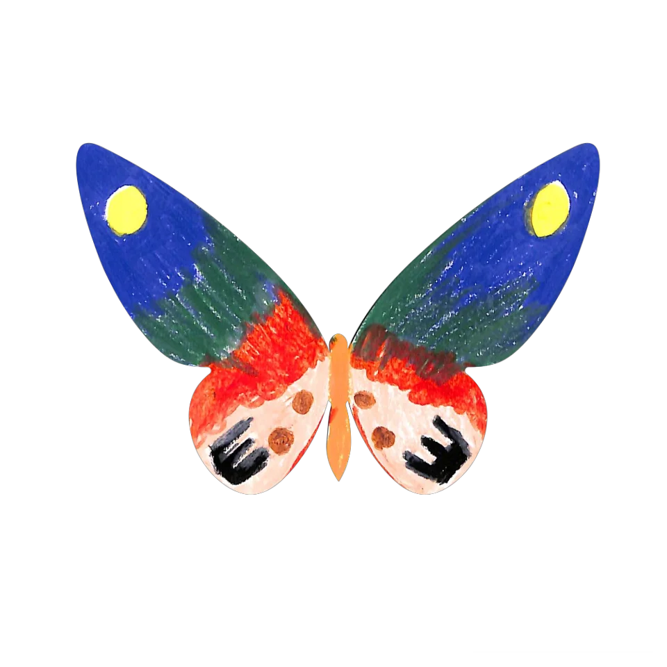 Original Butterfly Image