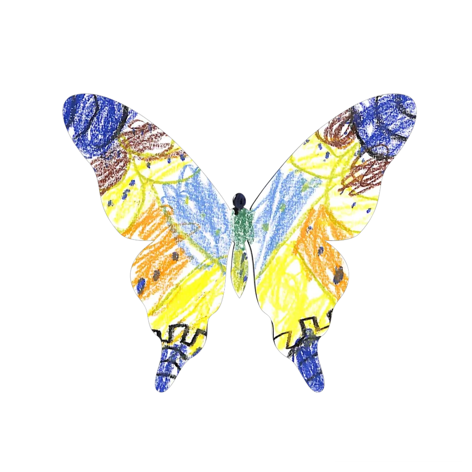 Original Butterfly Image
