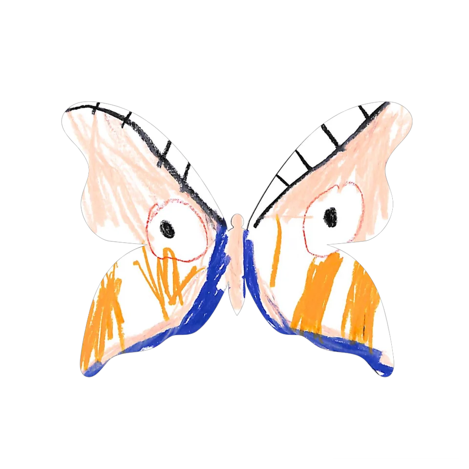 Original Butterfly Image