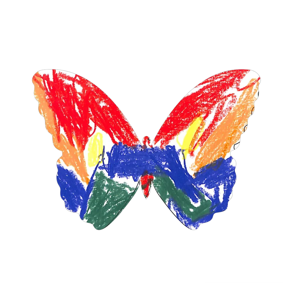 Original Butterfly Image