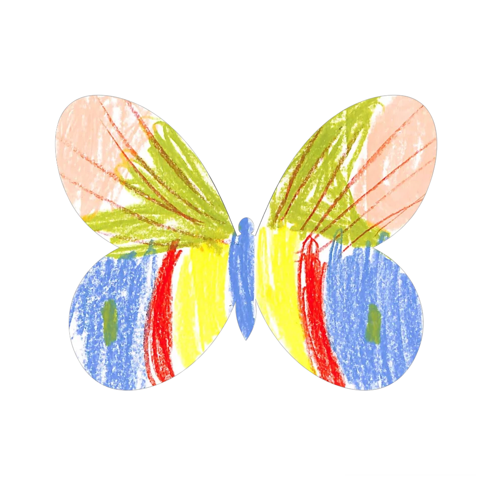 Original Butterfly Image