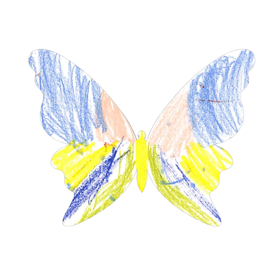 Original Butterfly Image