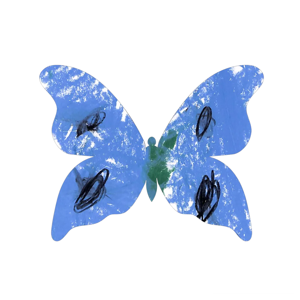Original Butterfly Image
