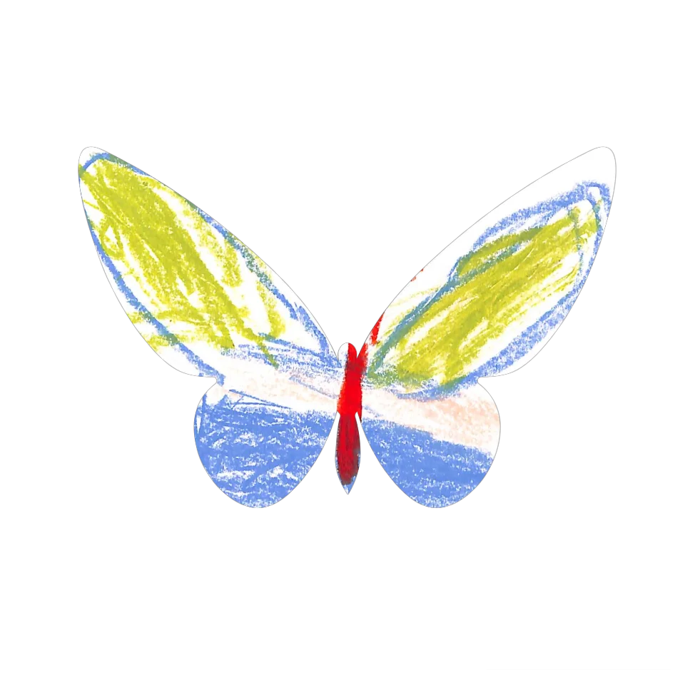 Original Butterfly Image