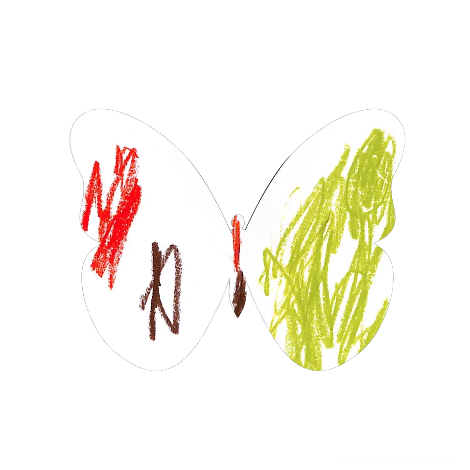 Original Butterfly Image