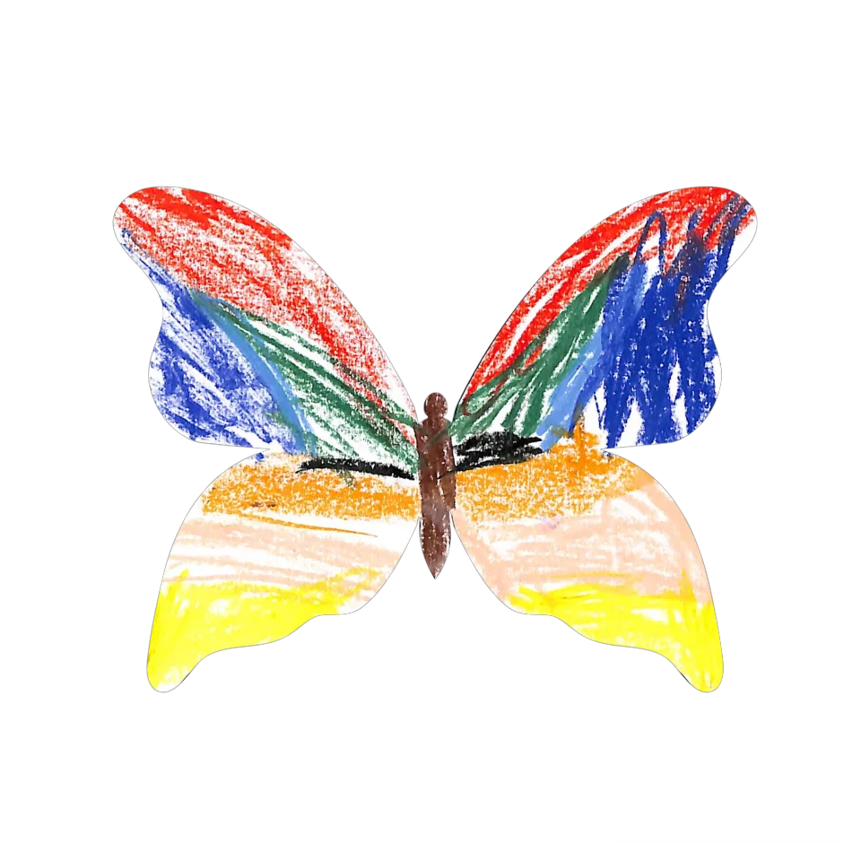 Original Butterfly Image