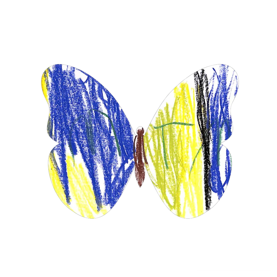 Original Butterfly Image