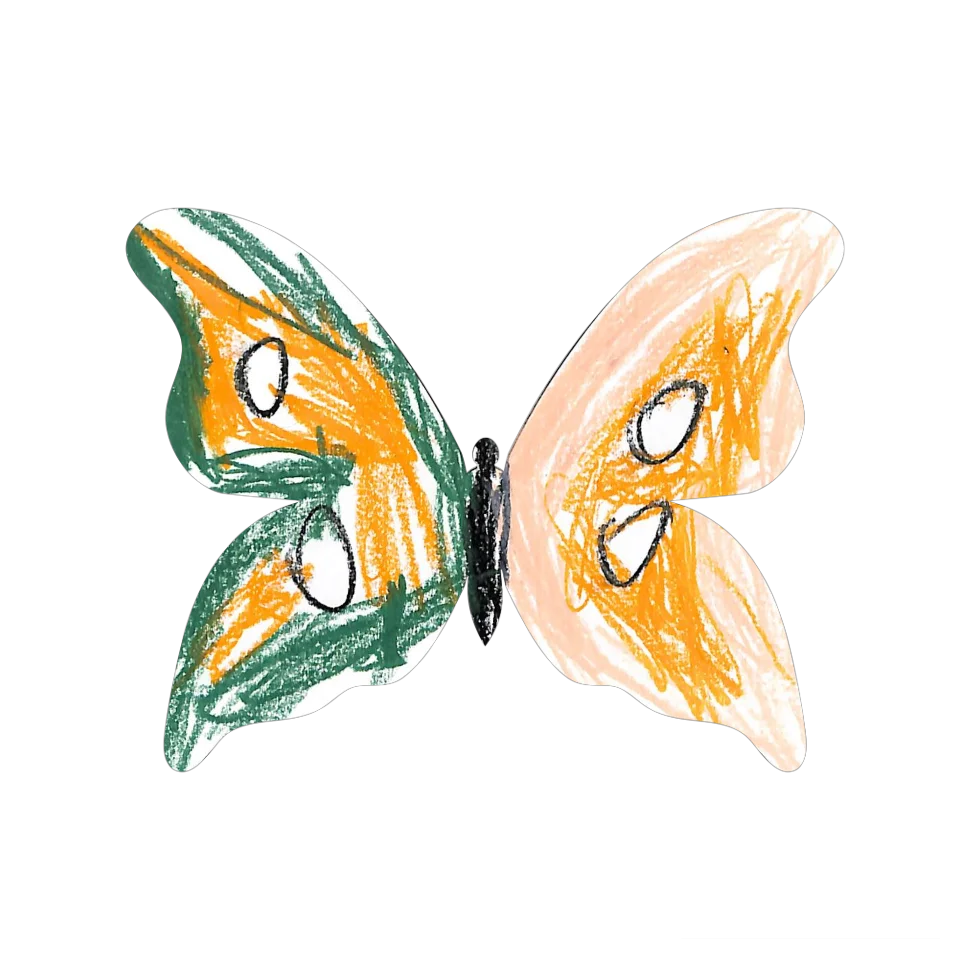 Original Butterfly Image