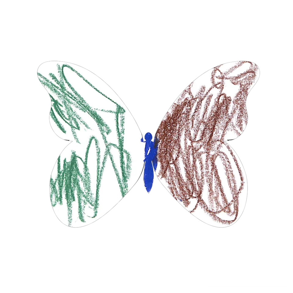Original Butterfly Image
