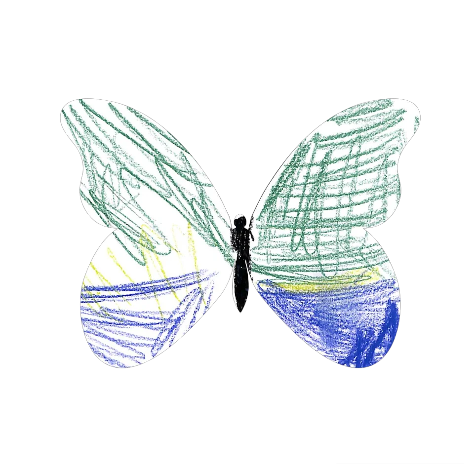 Original Butterfly Image