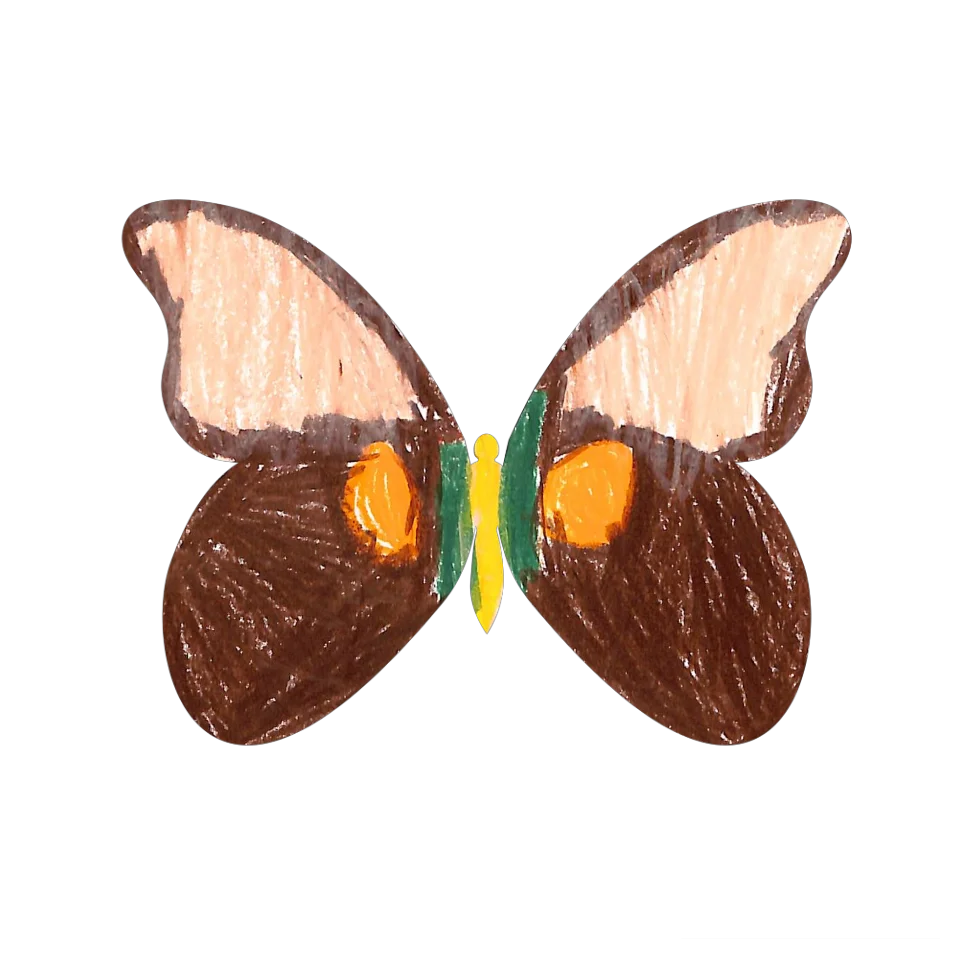 Original Butterfly Image