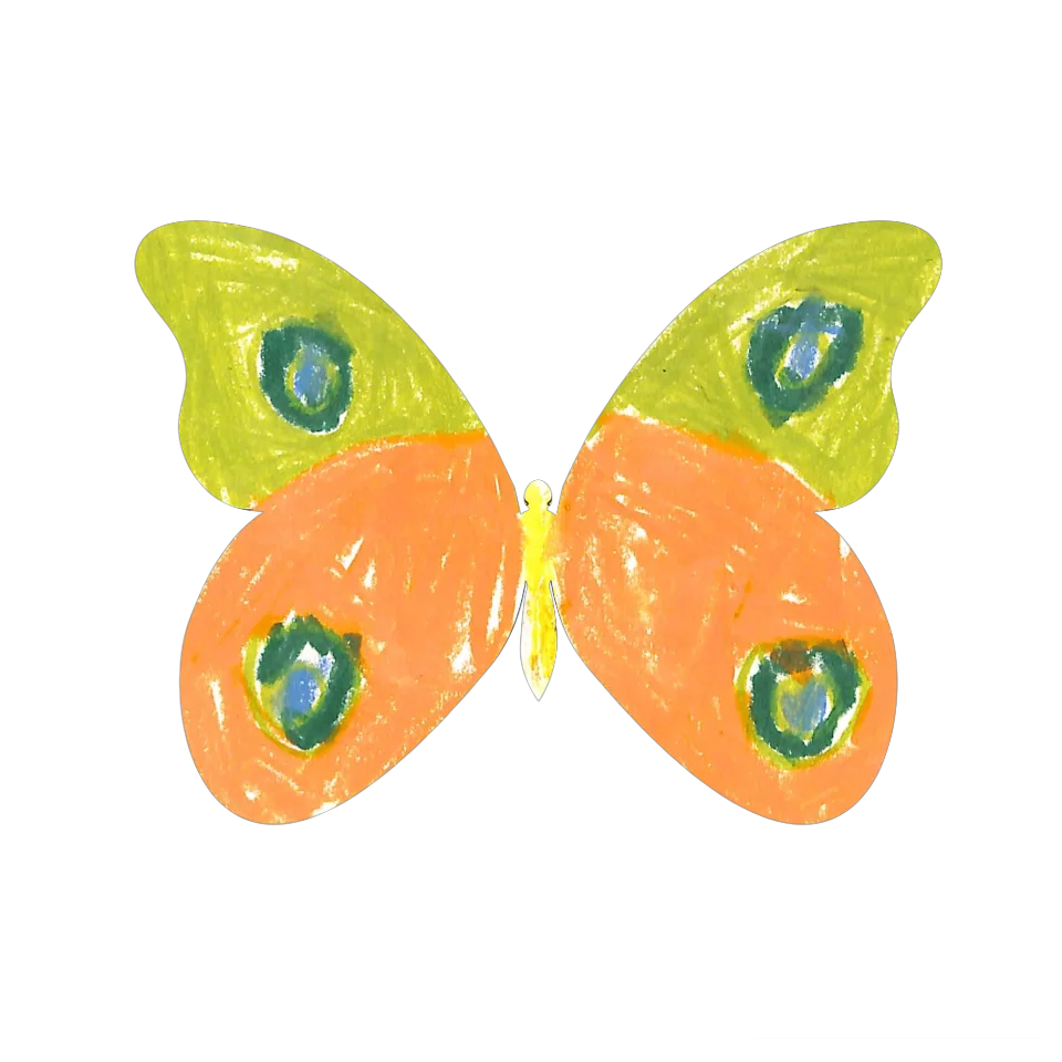Original Butterfly Image