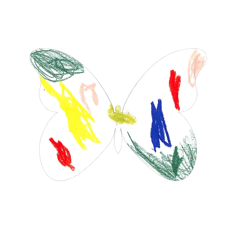 Original Butterfly Image