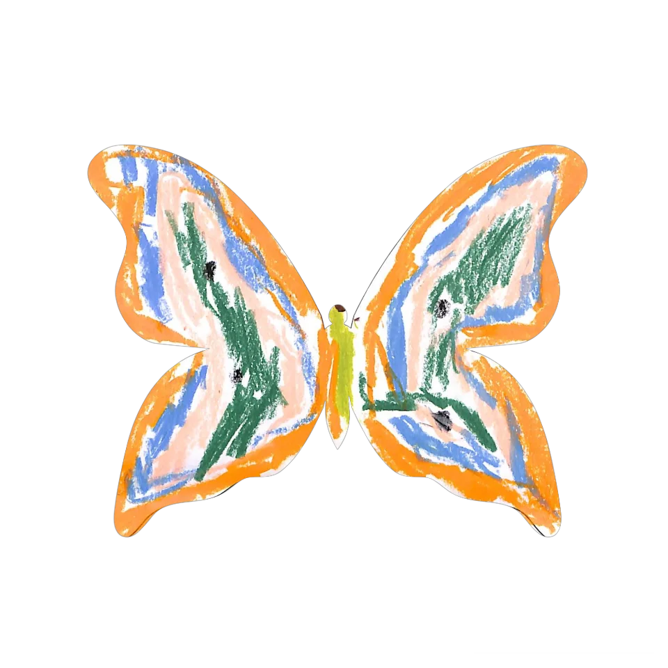 Original Butterfly Image