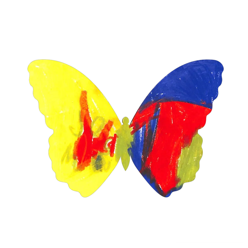 Original Butterfly Image
