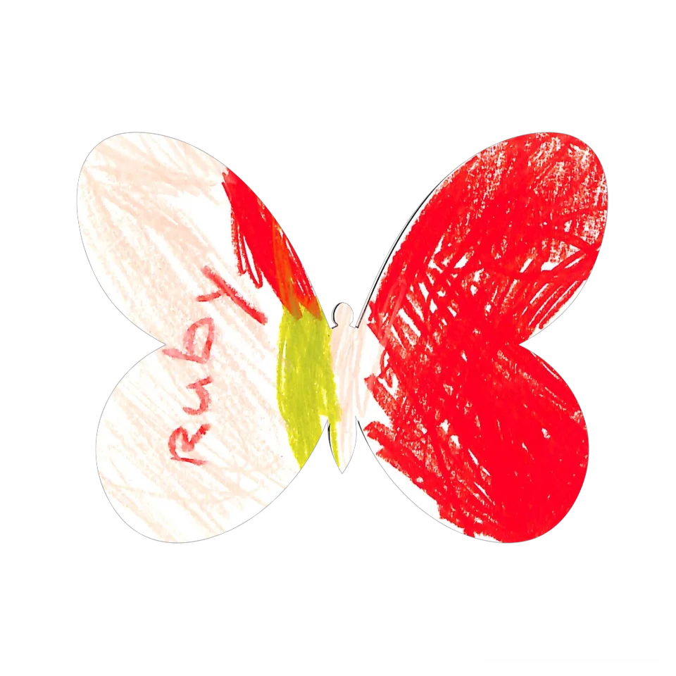 Original Butterfly Image