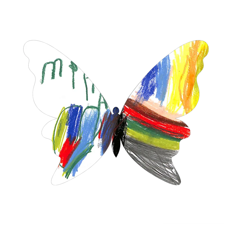 Original Butterfly Image
