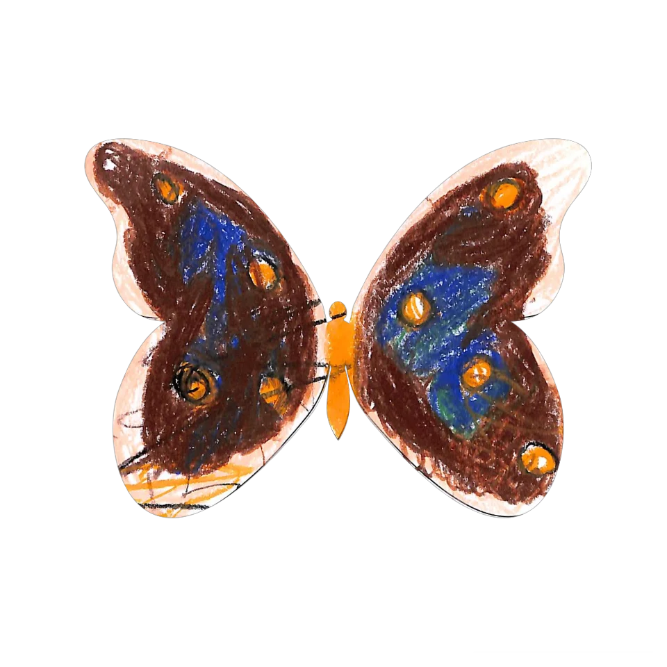 Original Butterfly Image