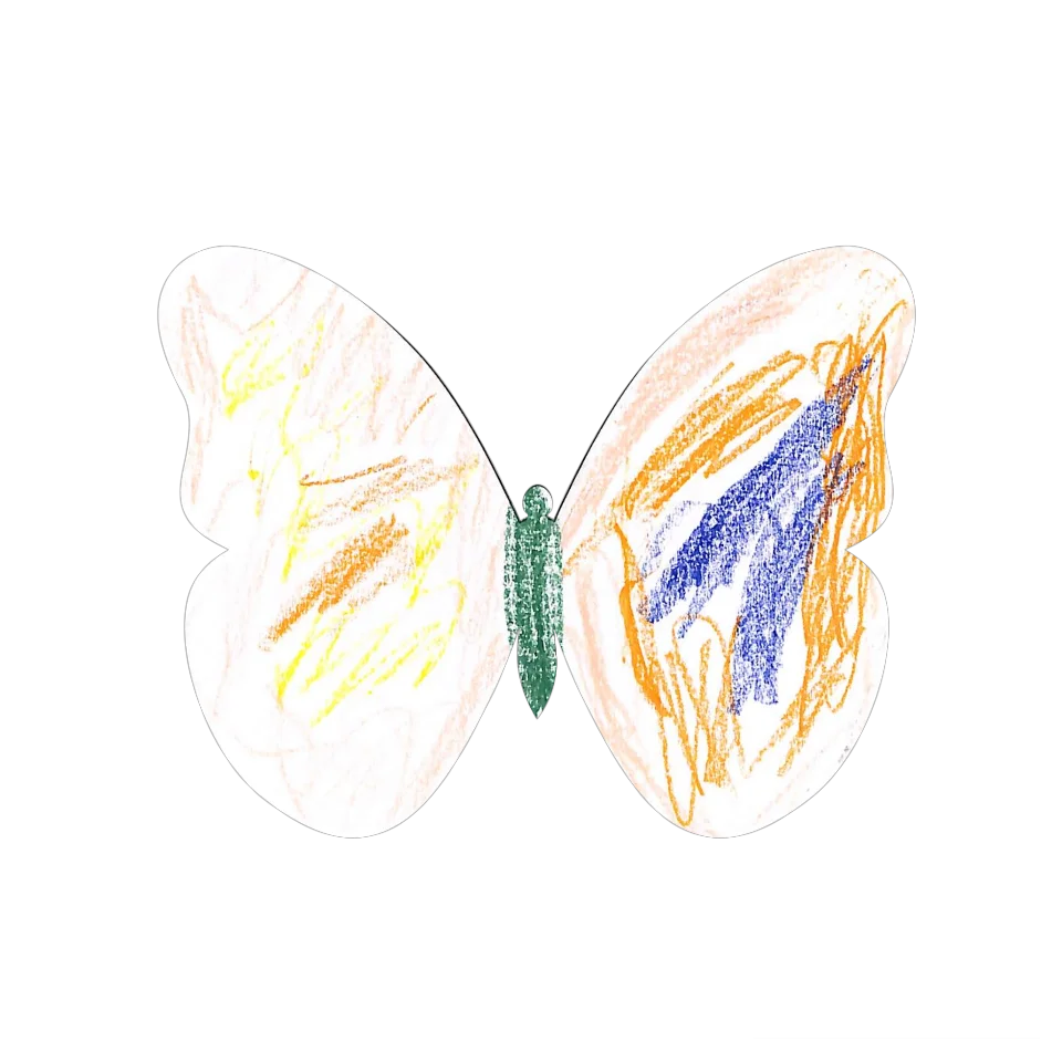 Original Butterfly Image