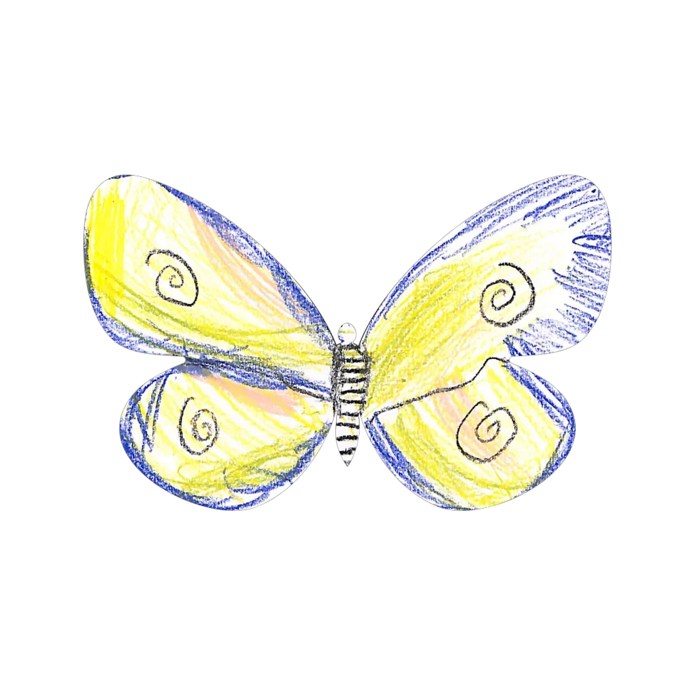 Original Butterfly Image
