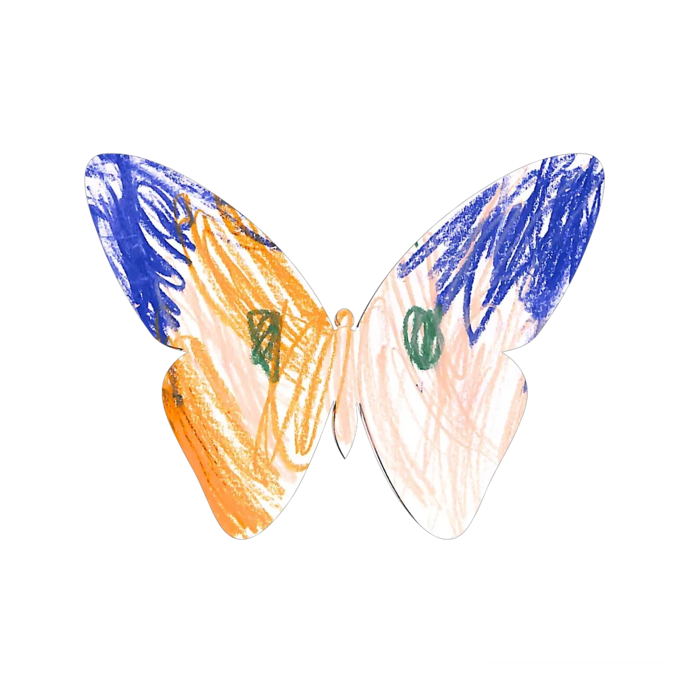 Original Butterfly Image