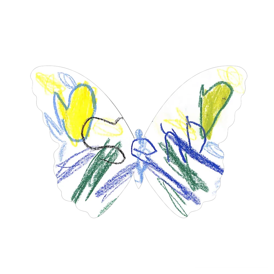 Original Butterfly Image
