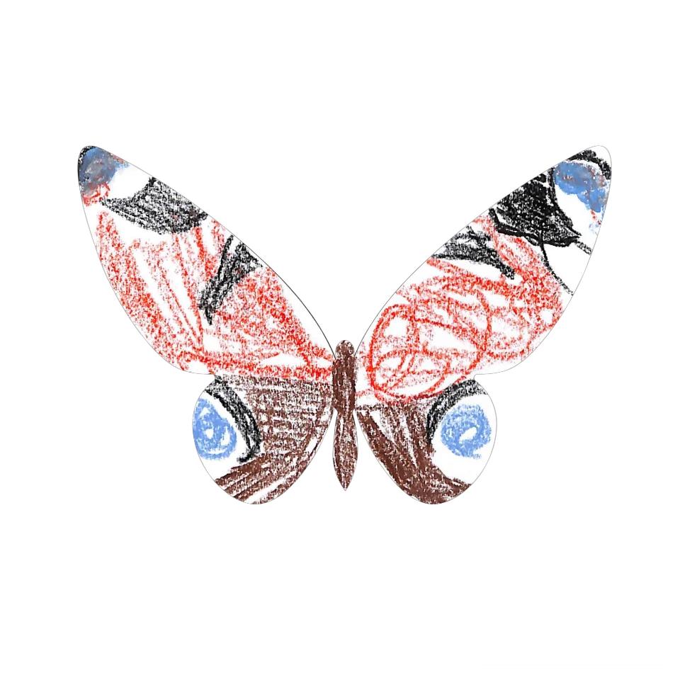 Original Butterfly Image