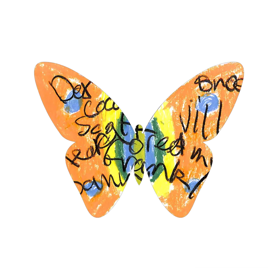 Original Butterfly Image