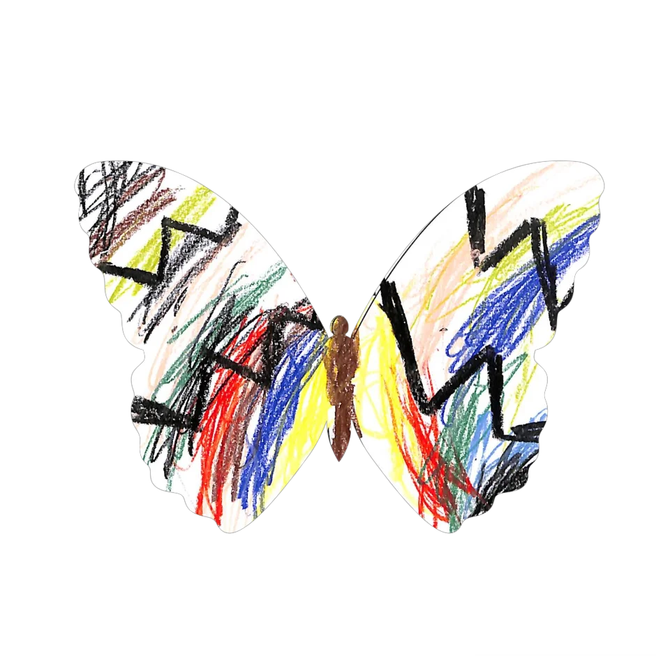 Original Butterfly Image