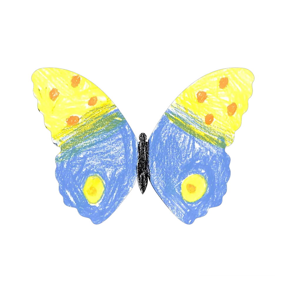 Original Butterfly Image
