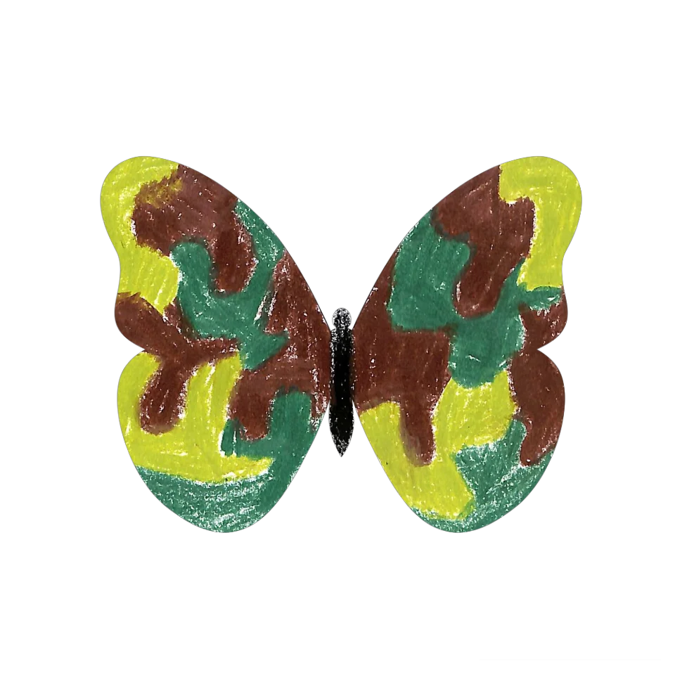 Original Butterfly Image