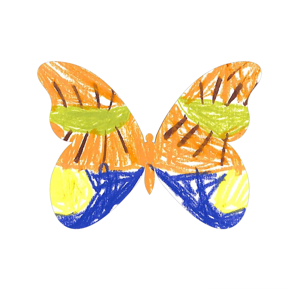 Original Butterfly Image
