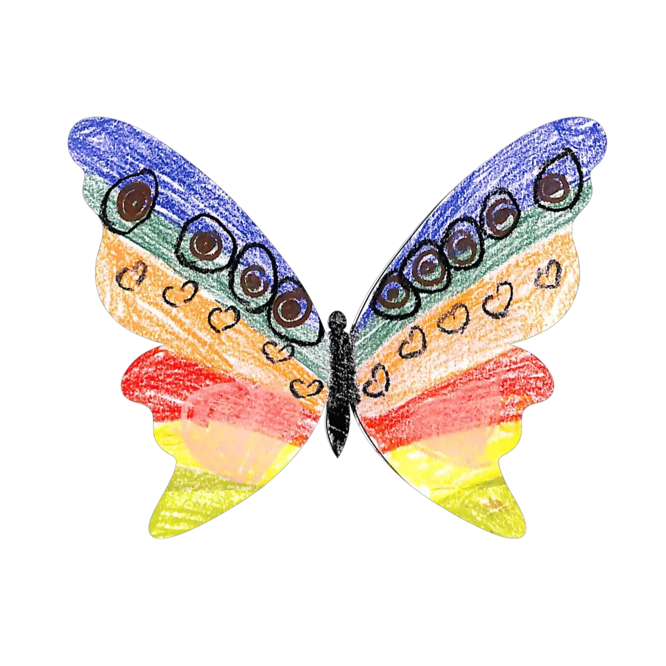 Original Butterfly Image