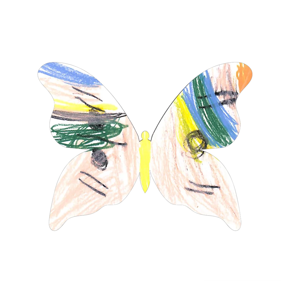 Original Butterfly Image
