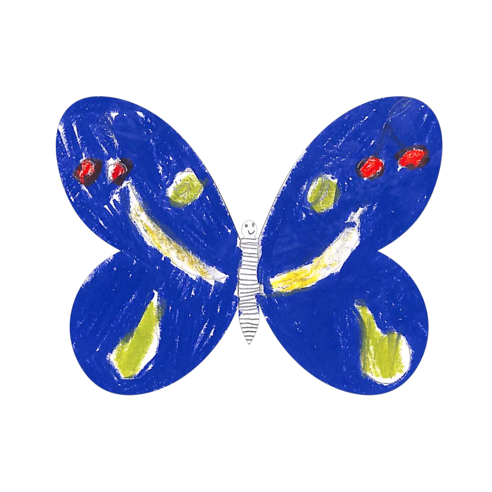 Original Butterfly Image