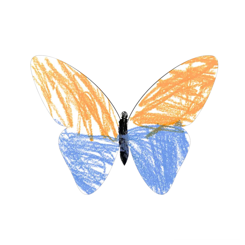 Original Butterfly Image