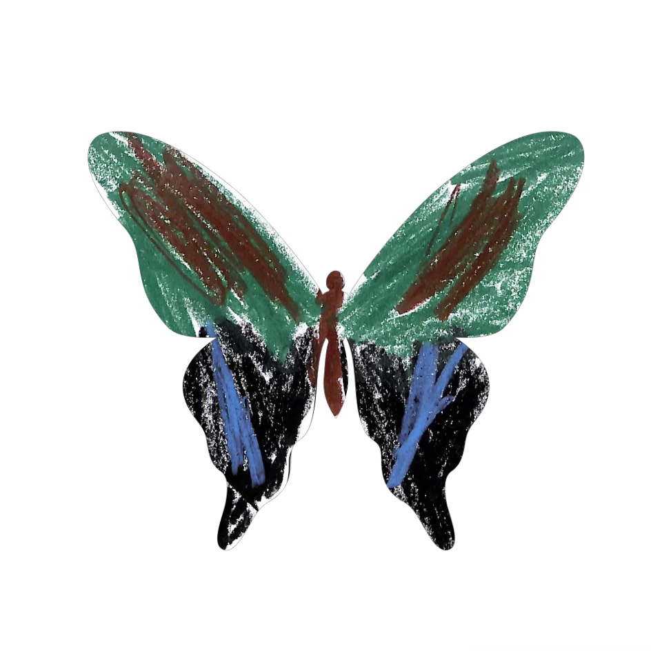 Original Butterfly Image