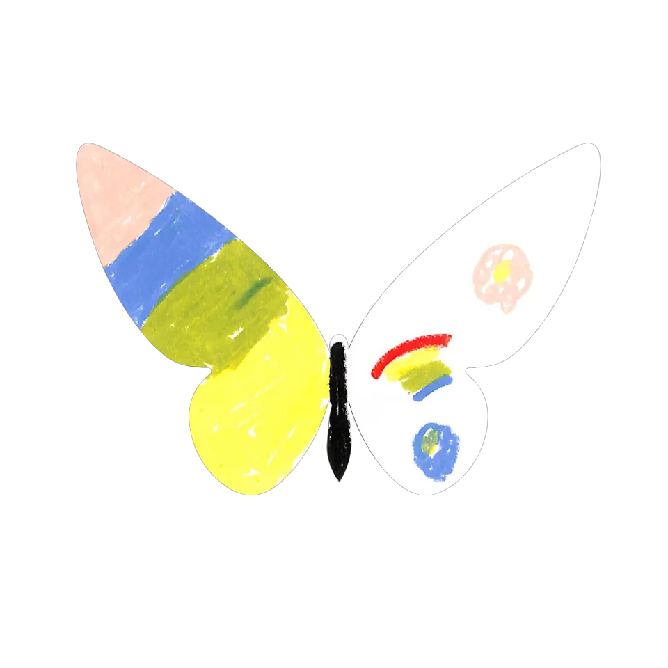 Original Butterfly Image