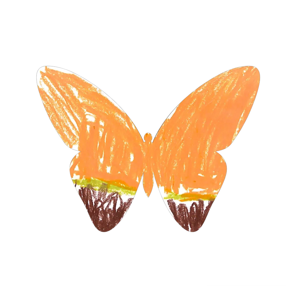 Original Butterfly Image